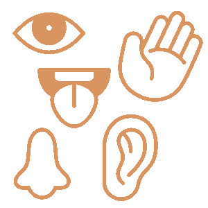 Sensory Processing Disorders icon